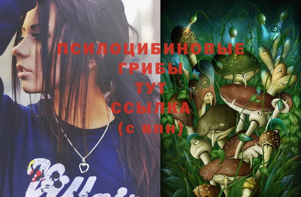 спиды Волоколамск