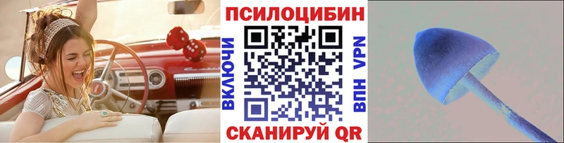 Галлюциногенные грибы Magic Shrooms  Купить  Котельниково 